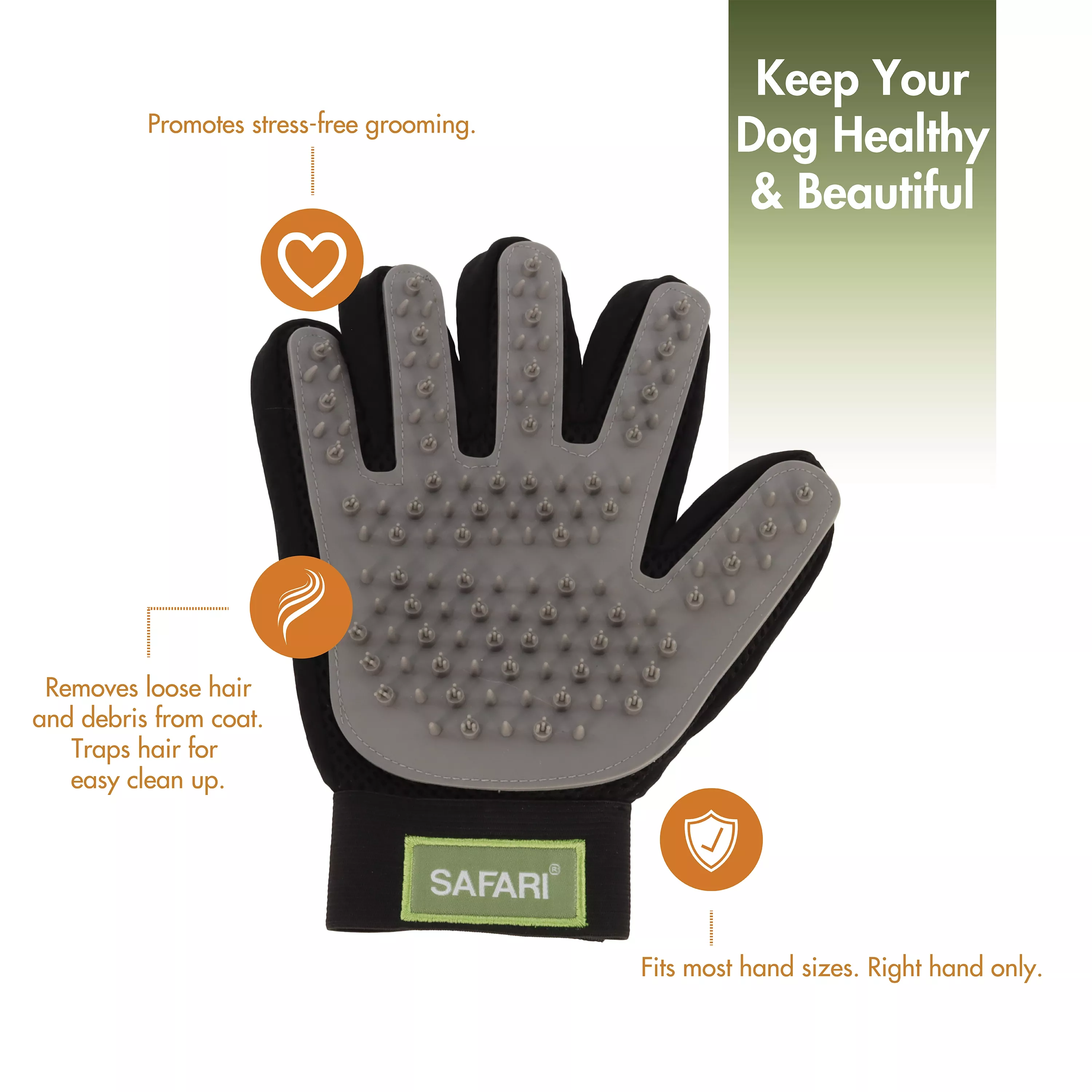 Safari® by Coastal® Grooming Glove