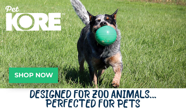 A Blue Heeler dog runs across a grassy field holding a green PetKORE KOREflex ball in its mouth. A green banner at the top of the image displays white text that reads, 'Extremely Playable, Wildly Durable.'