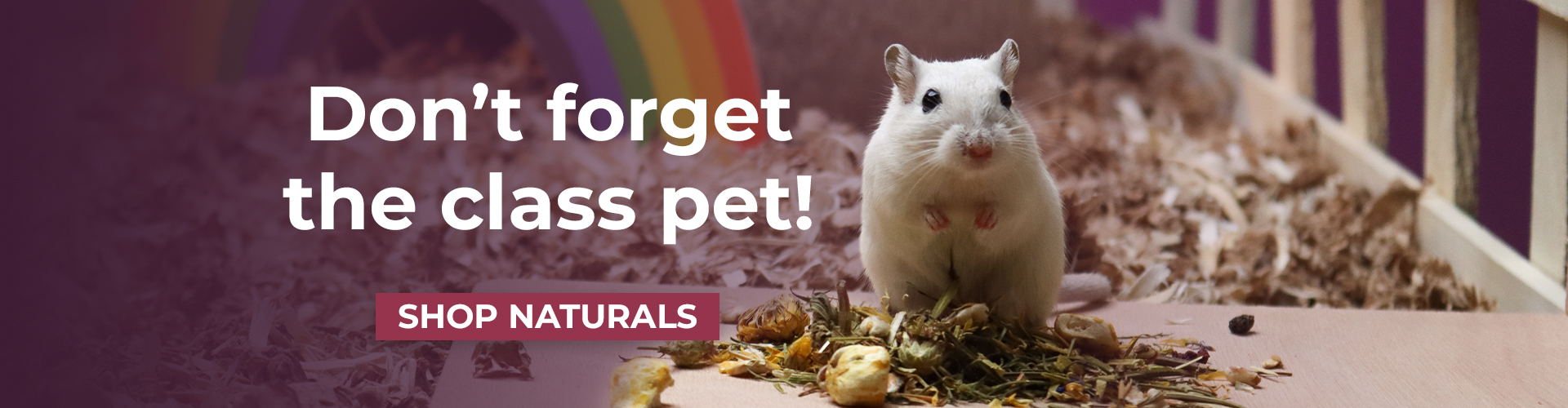Promotional banner showing a white gerbil standing on bedding beside a pile of dried forage and treats inside a small animal habitat. Overlay text reads “Don’t forget the class pet!” with a button labeled “Shop Naturals.”