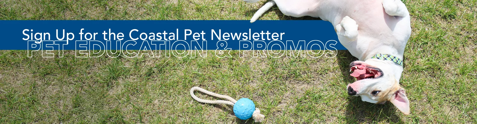 Coastal Pet Products Coastal Pet Products