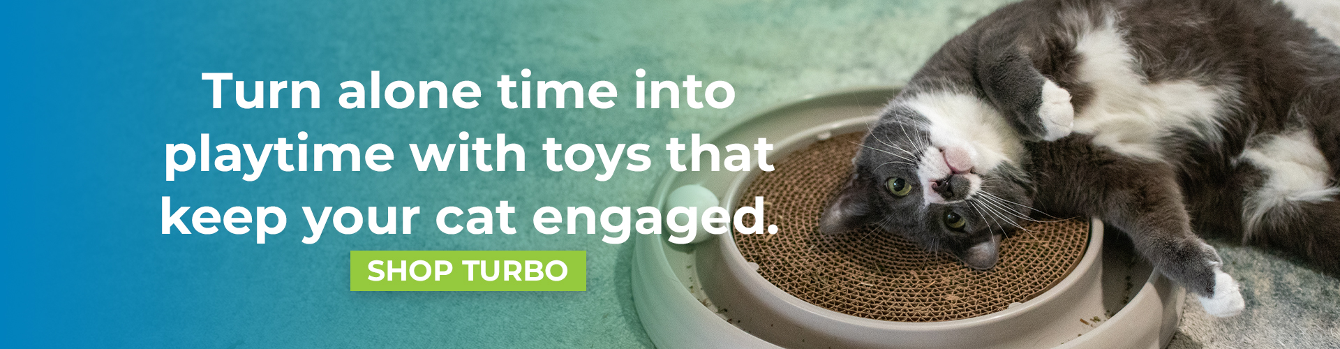 Promotional banner showing a gray and white cat lying on its back on a round cardboard scratcher toy. Overlay text reads “Turn alone time into playtime with toys that keep your cat engaged.” with a button labeled “Shop Turbo.”