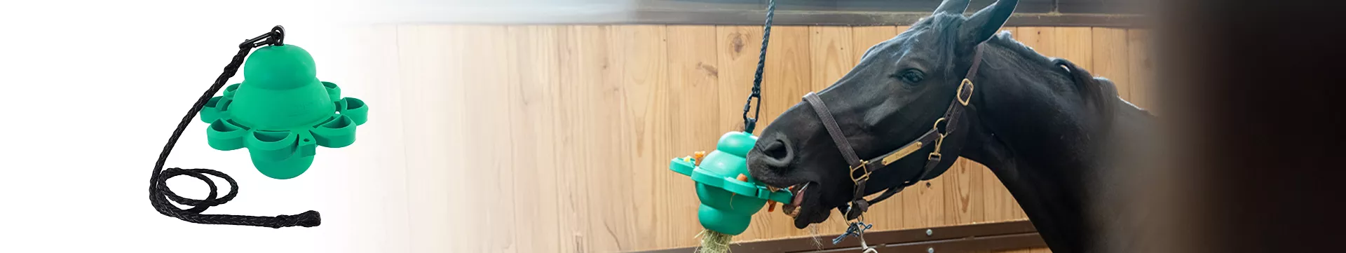 A black horse in a wooden stall is interacting with a green, hanging enrichment toy that contains hay. The toy is suspended by a rope from above, and a standalone product image of the same green toy with its attached rope is shown on the left side of the image.