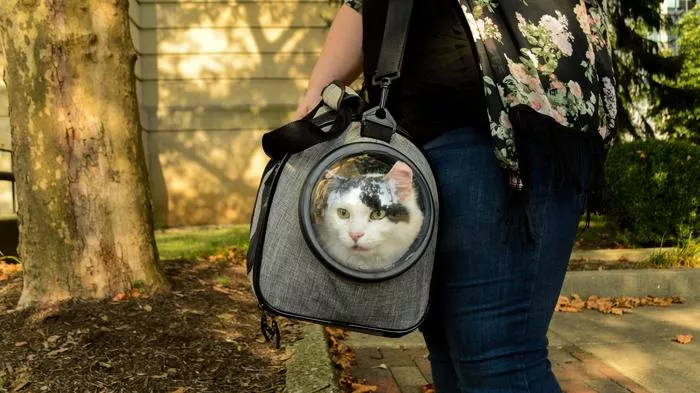 A woman holding a cat in a gray Bergan Cat Carrier to keep the feline secure and cozy during travel.