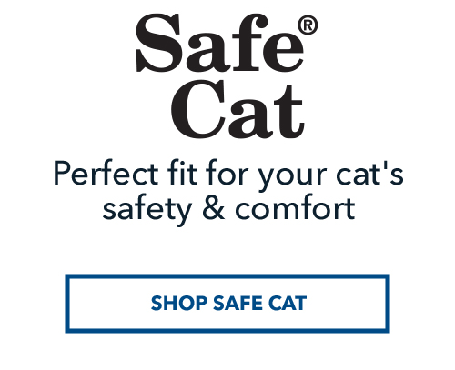 Safe Cat