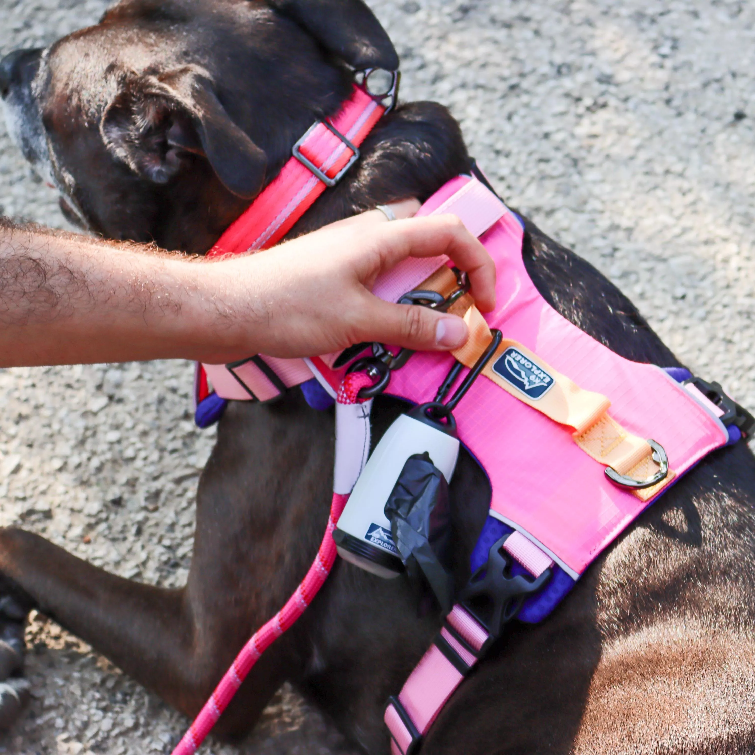 A white waste bag dispenser with an attached light is clipped to the back of a pink harness worn by a dog. The dispenser hangs from a metal D‑ring using a black plastic hook. The dog’s pink harness features padded sections and reflective trim. The scene is outdoors on a wooden boardwalk surrounded by greenery.