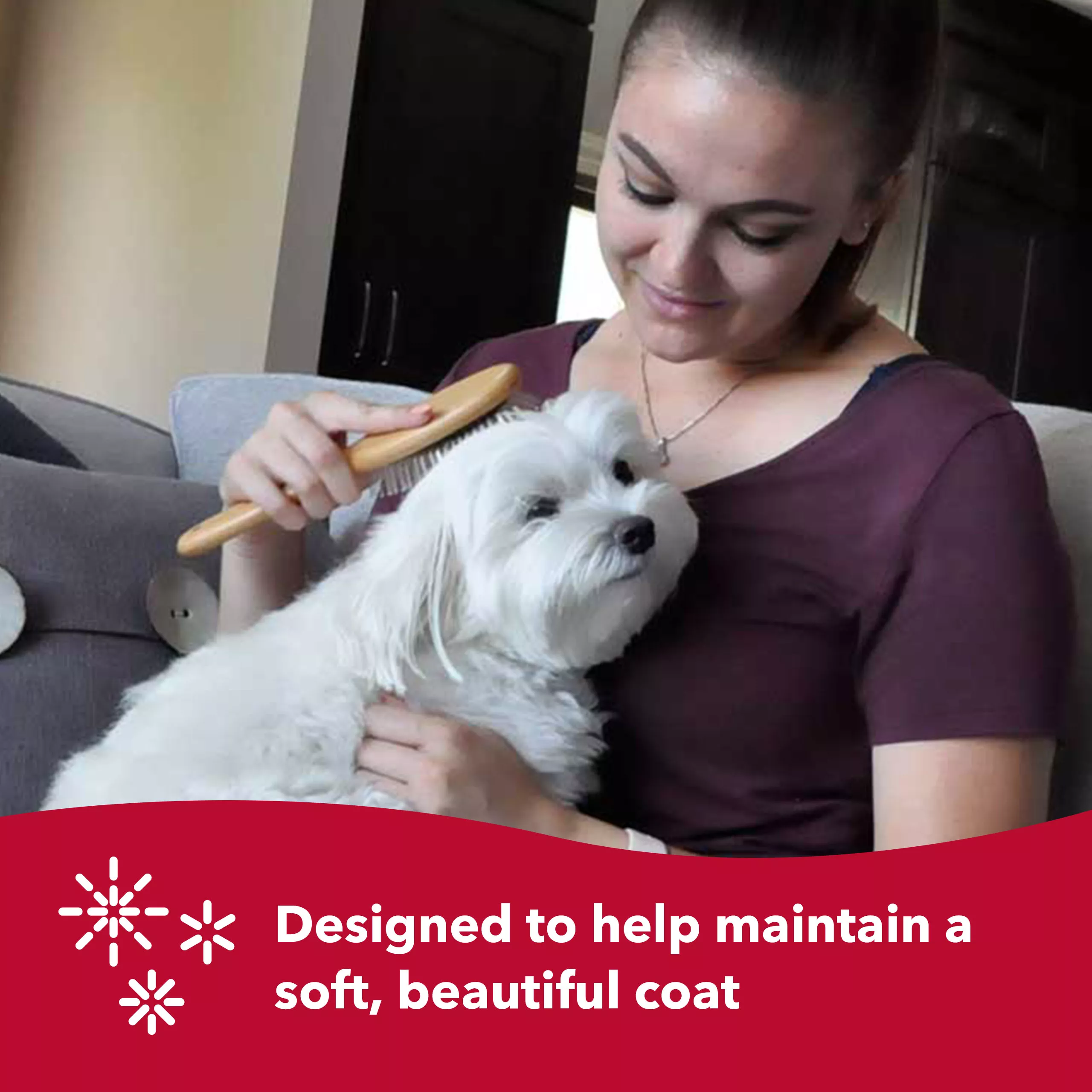 W6441 PINSML 6_COSTL US IS