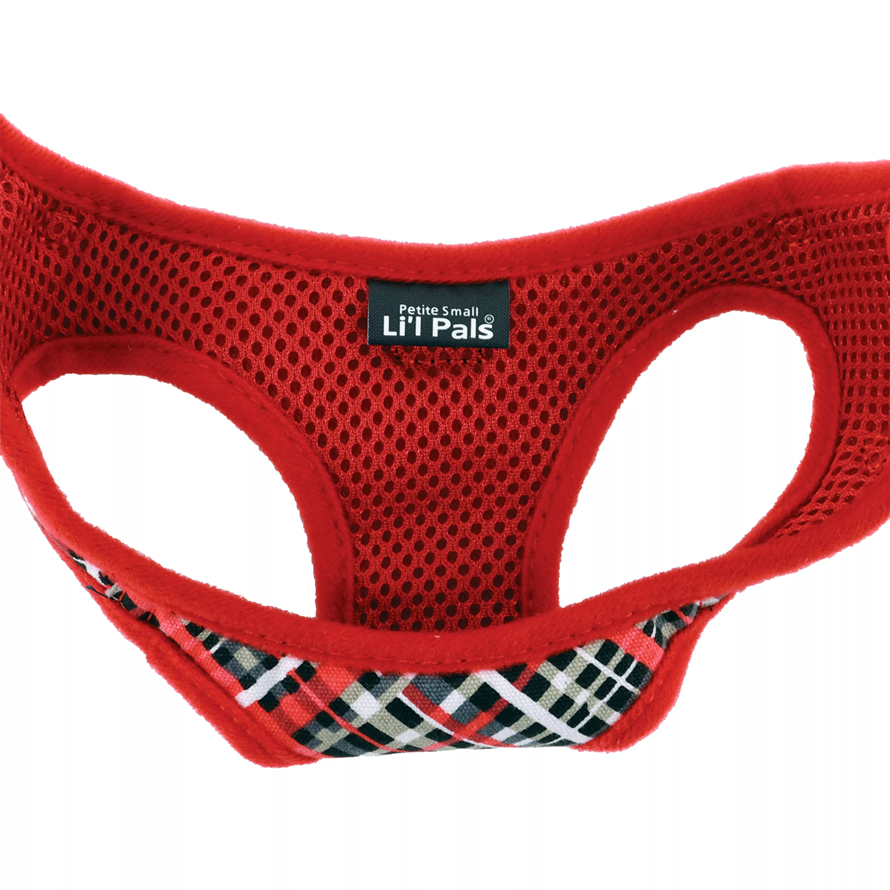 06249 RYP - Open 2.jpg