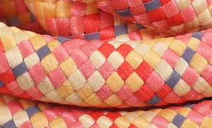 Coastal 20' Rope Training Leash