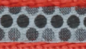 Lazer Brite Reflective Adjustable Breakaway Cat Collar