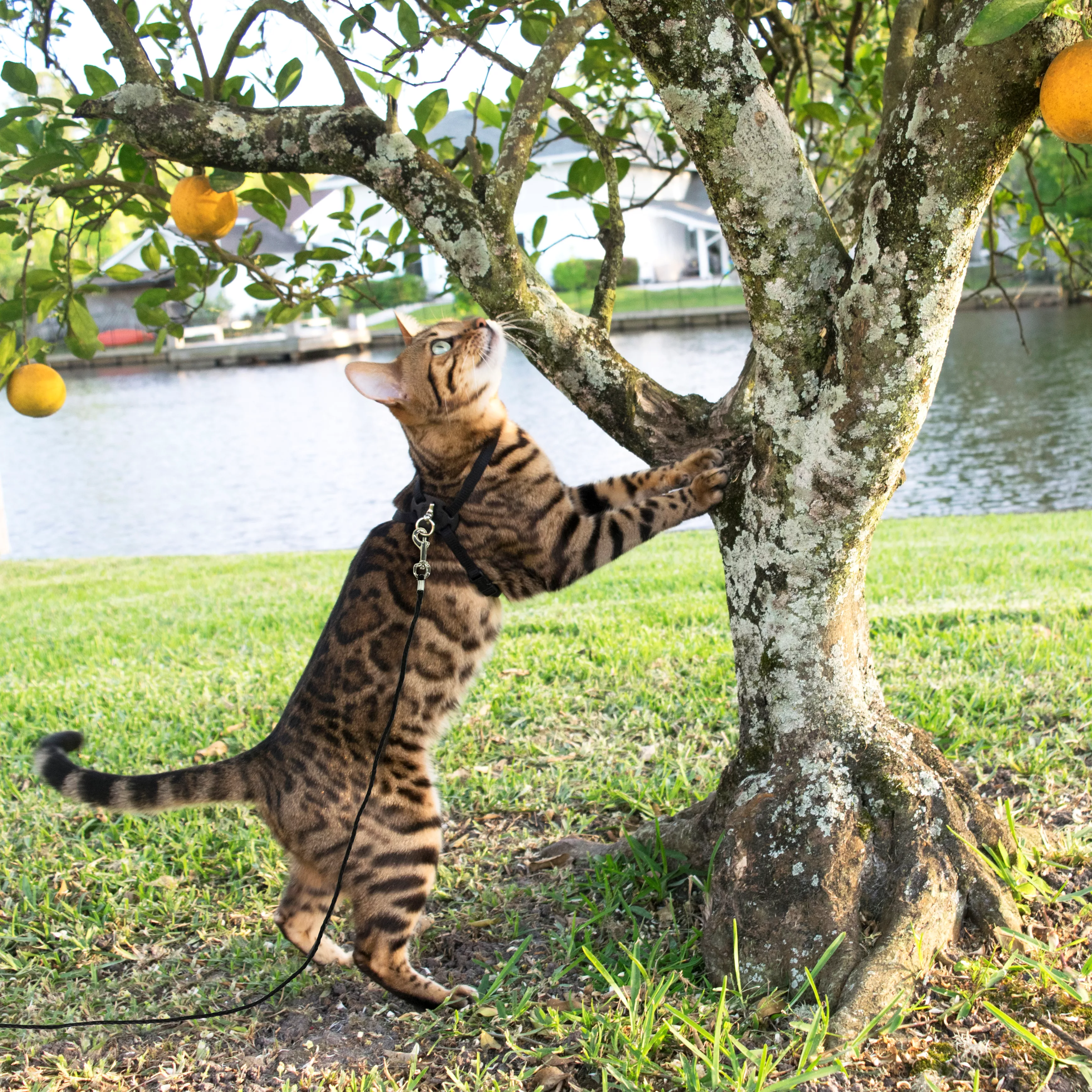 31110    BLK10_Lifestyle.jpg