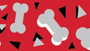 Li'l Pals Reflective Leash