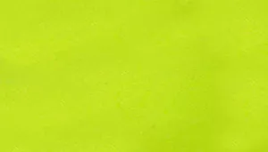 Rascals Latex Bone Dog Toys