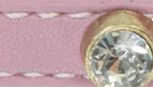 Li'l Pals® by Coastal® Posh Jeweled Leash Product image