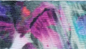 Safe Cat Heartbreaker Adjustable Cat Collar with Breakaway Heart Buckle