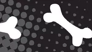 Styles Adjustable Grooming Loop with Bolt Snap