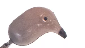 Brown dove head with subtle speckling and black beak on white background.