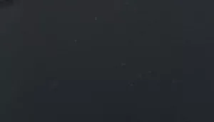 Power Walker Dog Retractable Leash