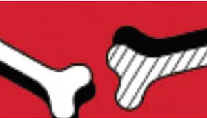 Li'l Pals Adjustable Patterned Dog Collar