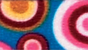 Safe Cat Adjustable Breakaway Cat Collar with Magnetic Buckle