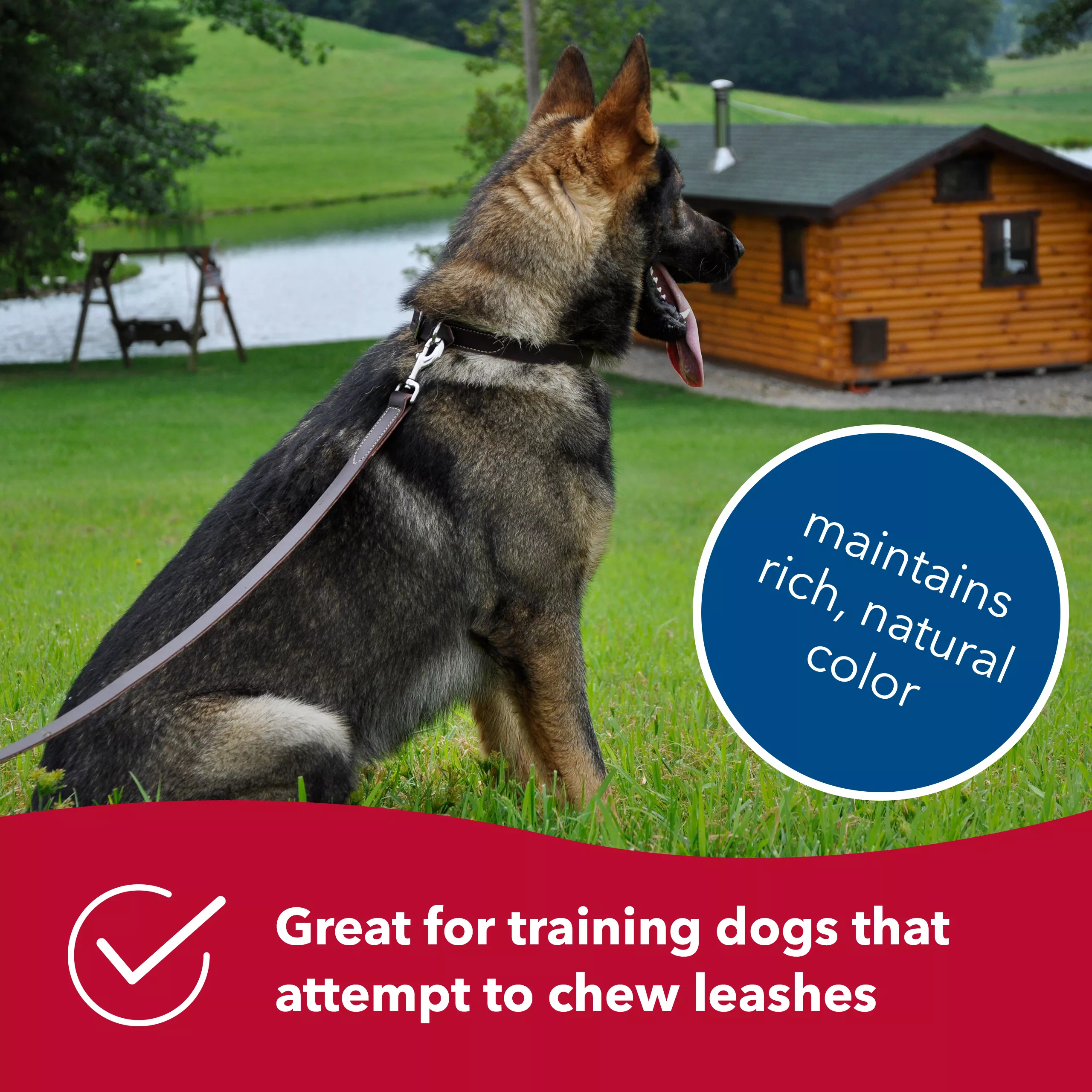 02062 LAT06 3_COSTL US IS