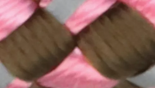 K9 Explorer® Reflective Braided Rope Snap Dog Leash Product image