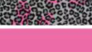 Coastal ElastaCat FlexFit Cat Collar