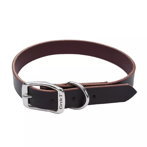 Circle T® Latigo Leather Town Dog Collar Product image