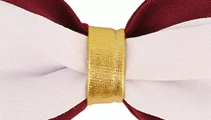 Accent Metallic Dog Collar Embellishment