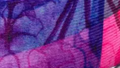 Wolfgang DayDream Dog Collar