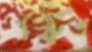 Safe Cat Round Fashion Collar