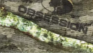 Water & Woods Adjustable Dog Collar