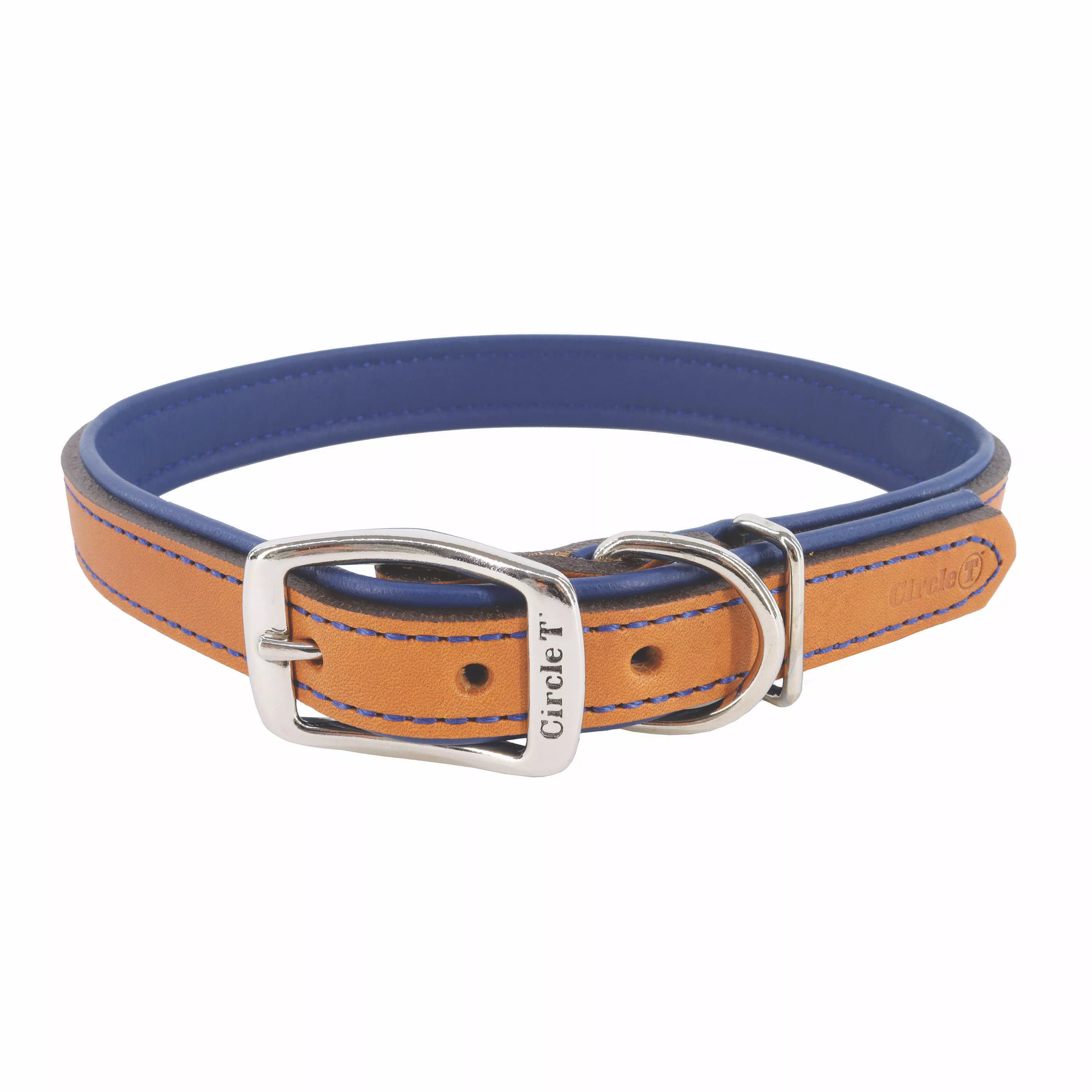Circle T® Layered Fashion Leather Dog Collar