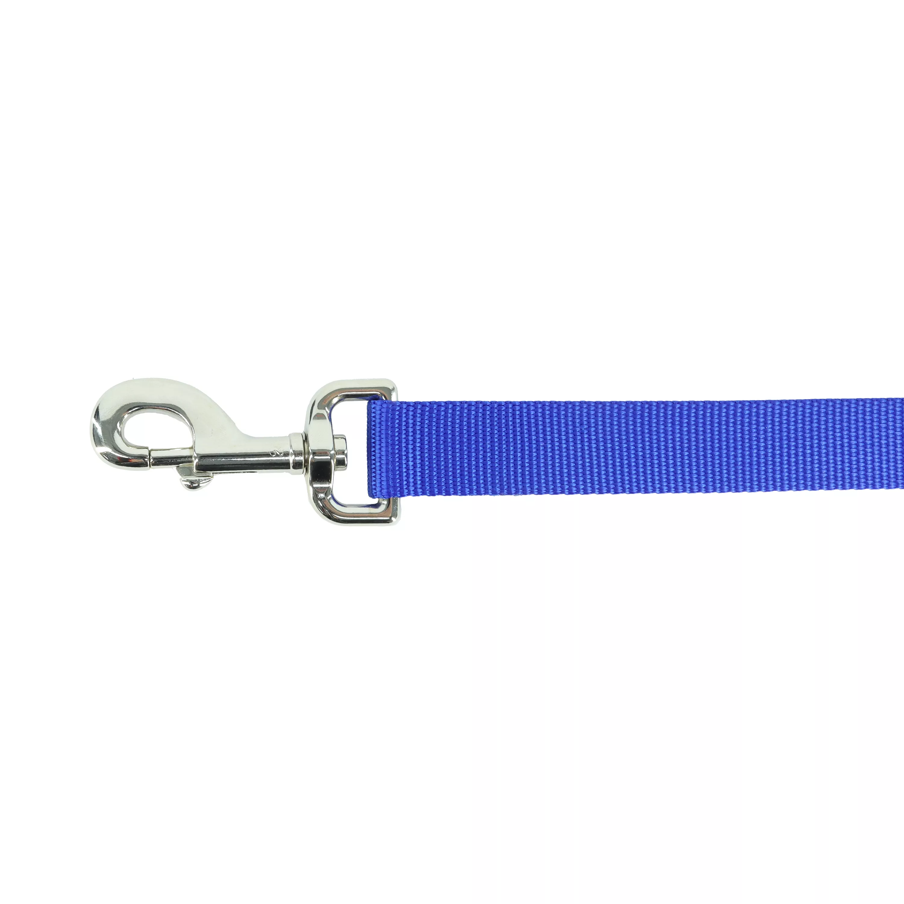 A product‑only close‑up image of a blue single‑ply dog leash shown against a white background. The leash has a ribbed woven strap in a bright blue color. A silver‑tone metal swivel bolt‑snap clasp is attached at the end using a folded and stitched strap loop. Only the clasp and a short portion of the strap are visible in the frame.