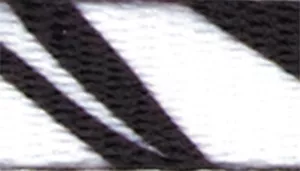 Safe Cat Fashion Adjustable Breakaway Collar