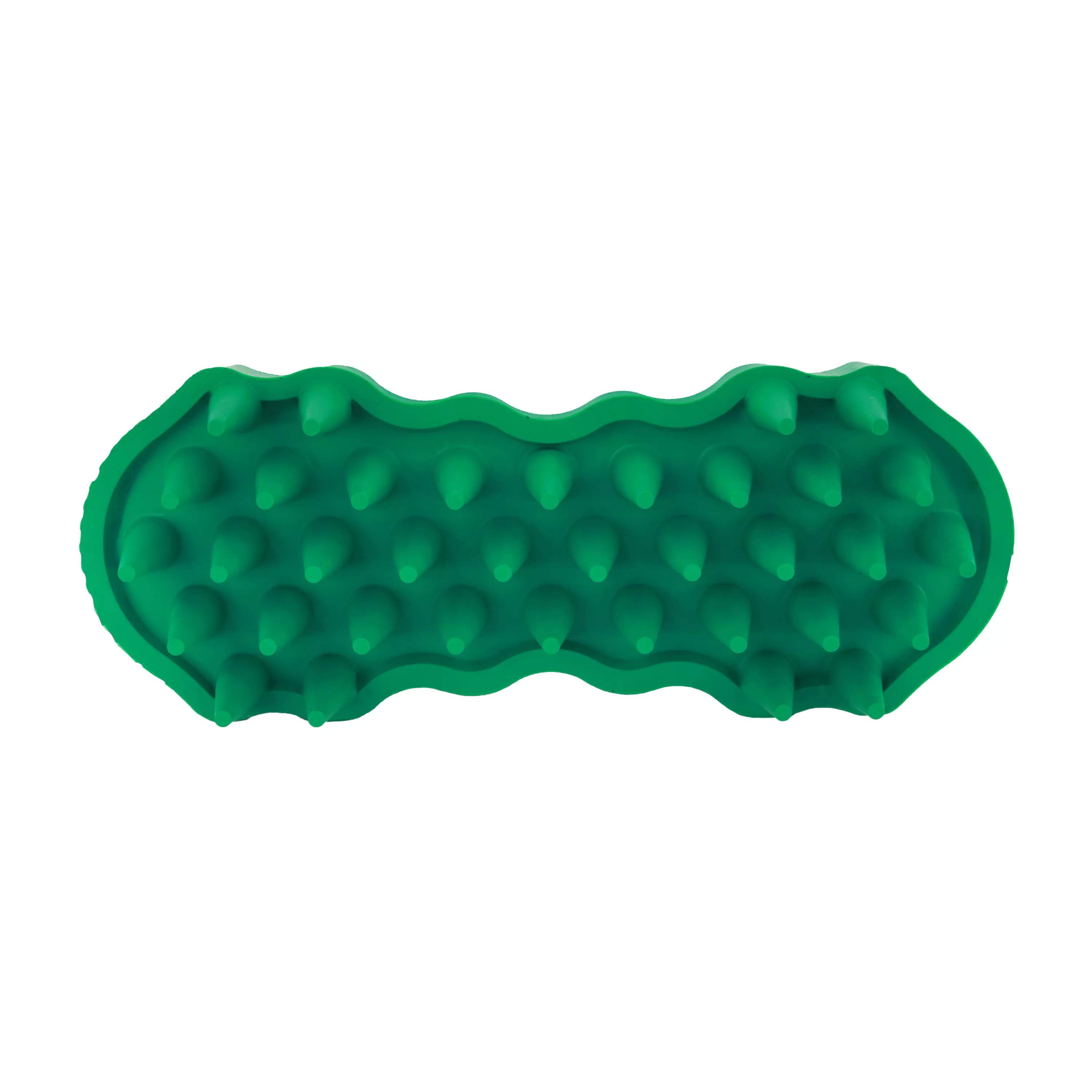 Groom Bug - Large 5.jpg