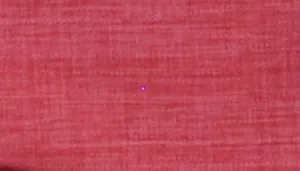 Bergan Comfort Carrier