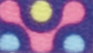 Li'l Pals Adjustable Breakaway Kitten Collar