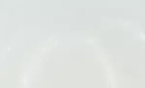 Turbo Scratcher Replacement Ball - 2 Pack