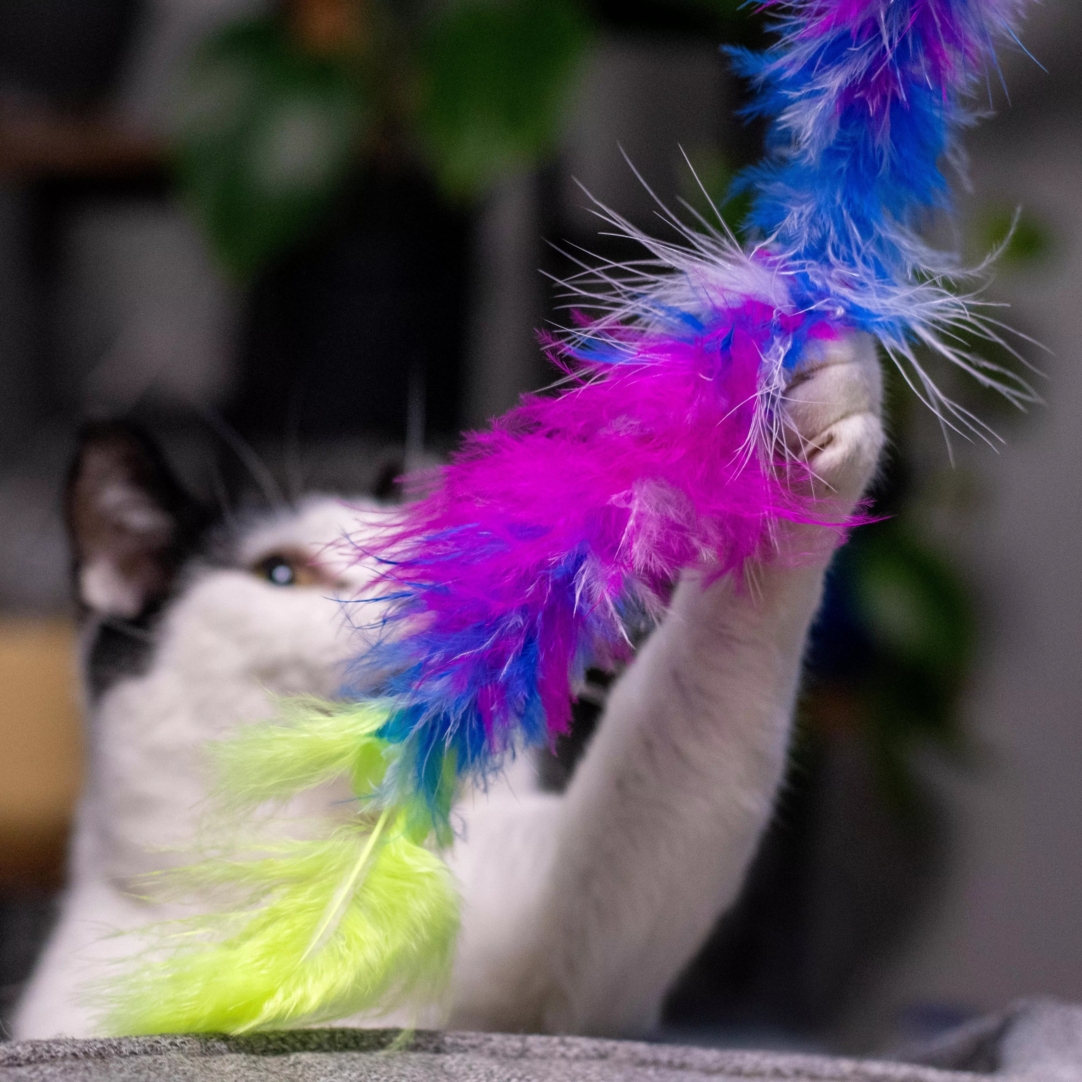 Cat teaser wand featuring multicolored fluffy feathers attached to a long patterned stick. A cat is out of focus in the background, reaching to grab the toy.