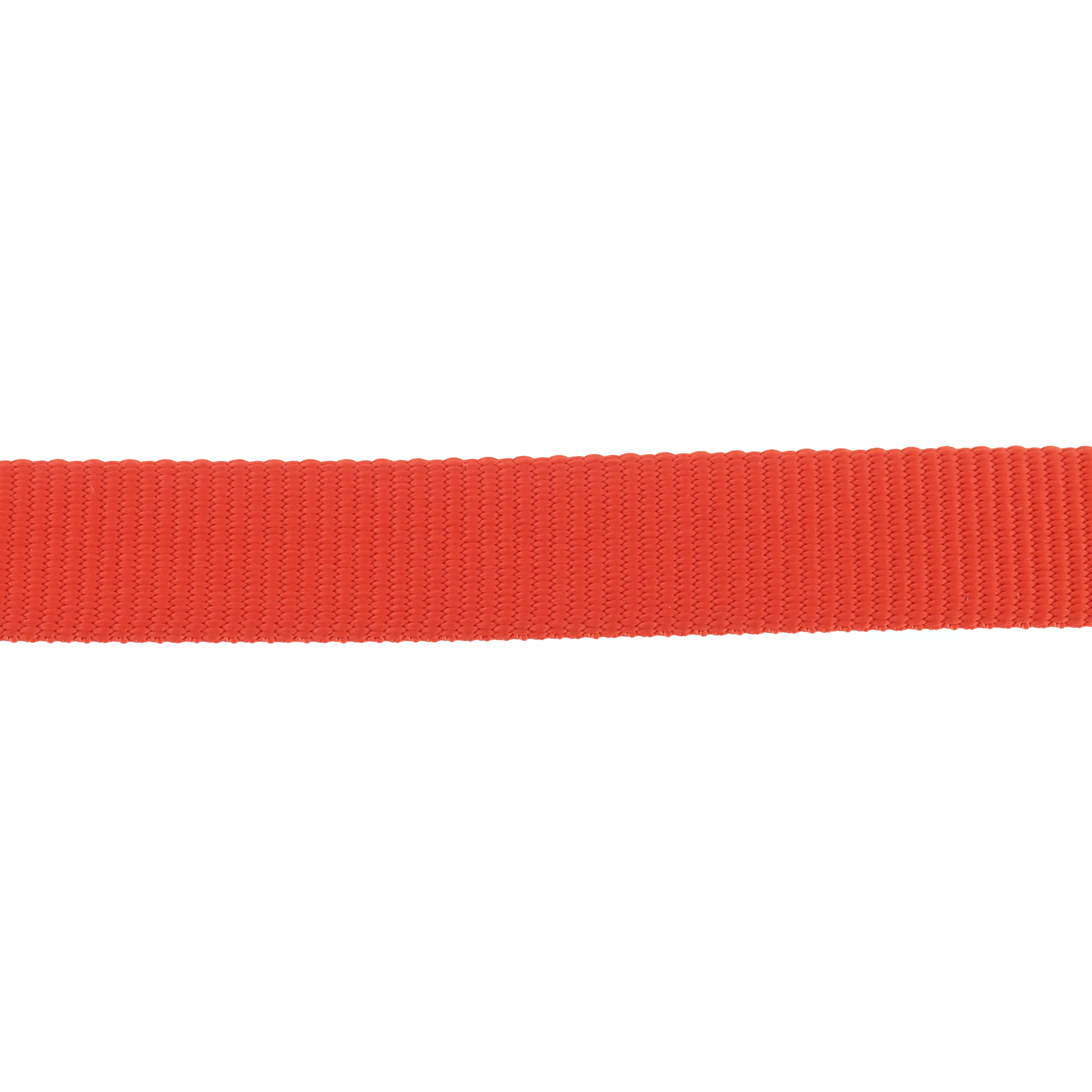 46966 RPP06 Mat copy.jpg