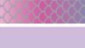 Coastal ElastaCat FlexFit Cat Collar