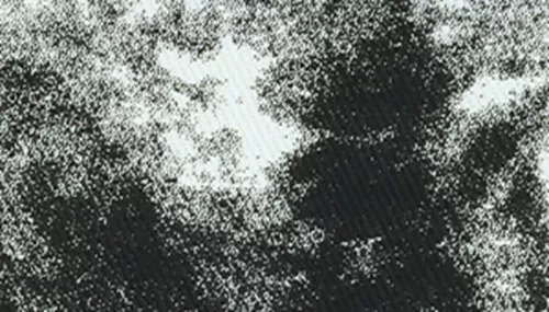 Li'l Pals® by Coastal® Posh Marbled Canvas Overlay Collar Product image