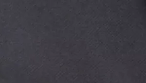 Bergan Comfort Carrier