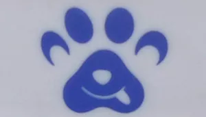 Maslow Design Series Non-Skid Paw Design Dog Bowls