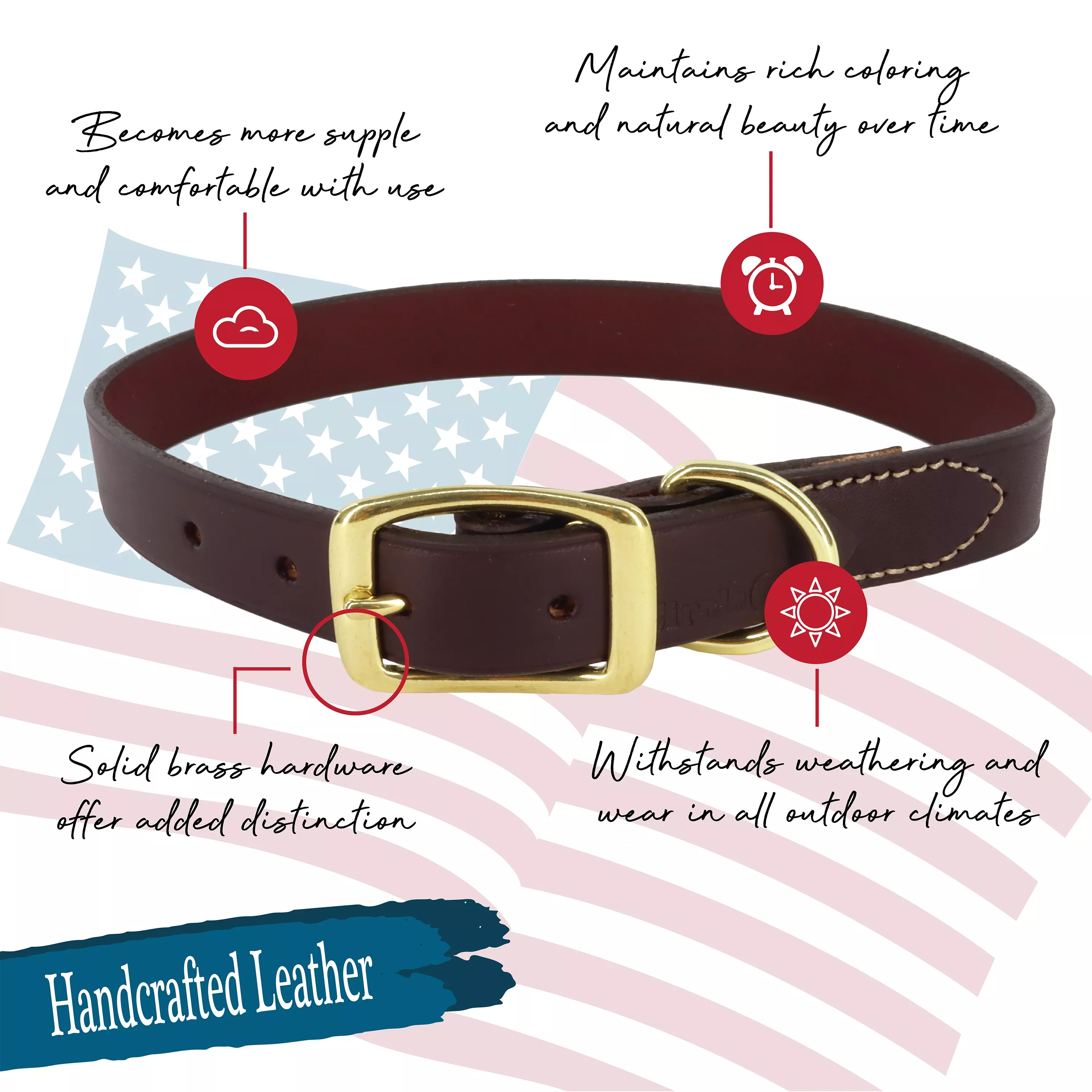 Circle T® Latigo Leather Town Dog Collar with Brass Hardware