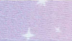 Safe Cat Heartbreaker Adjustable Cat Collar with Breakaway Heart Buckle