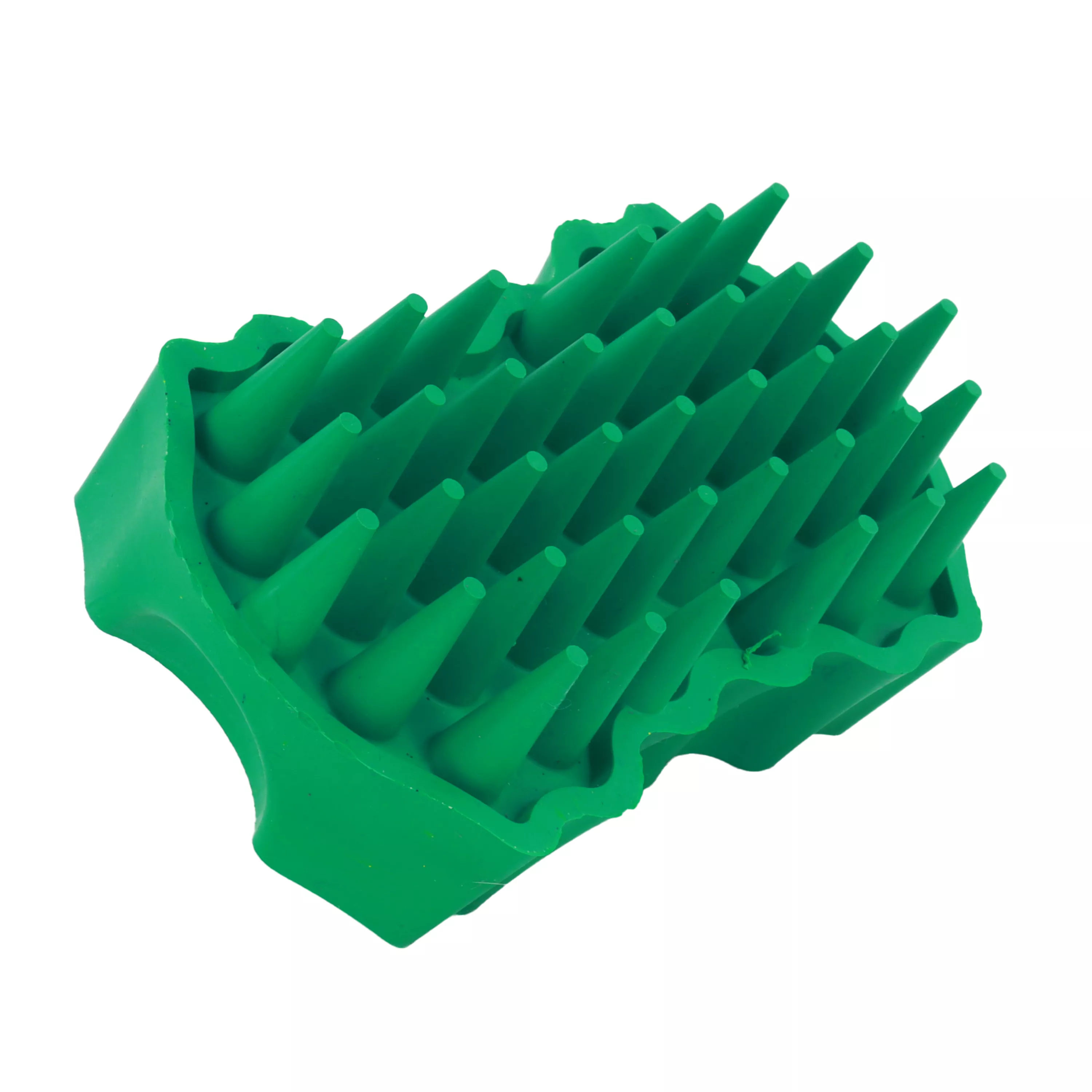 Groom Bug - Medium 6.jpg