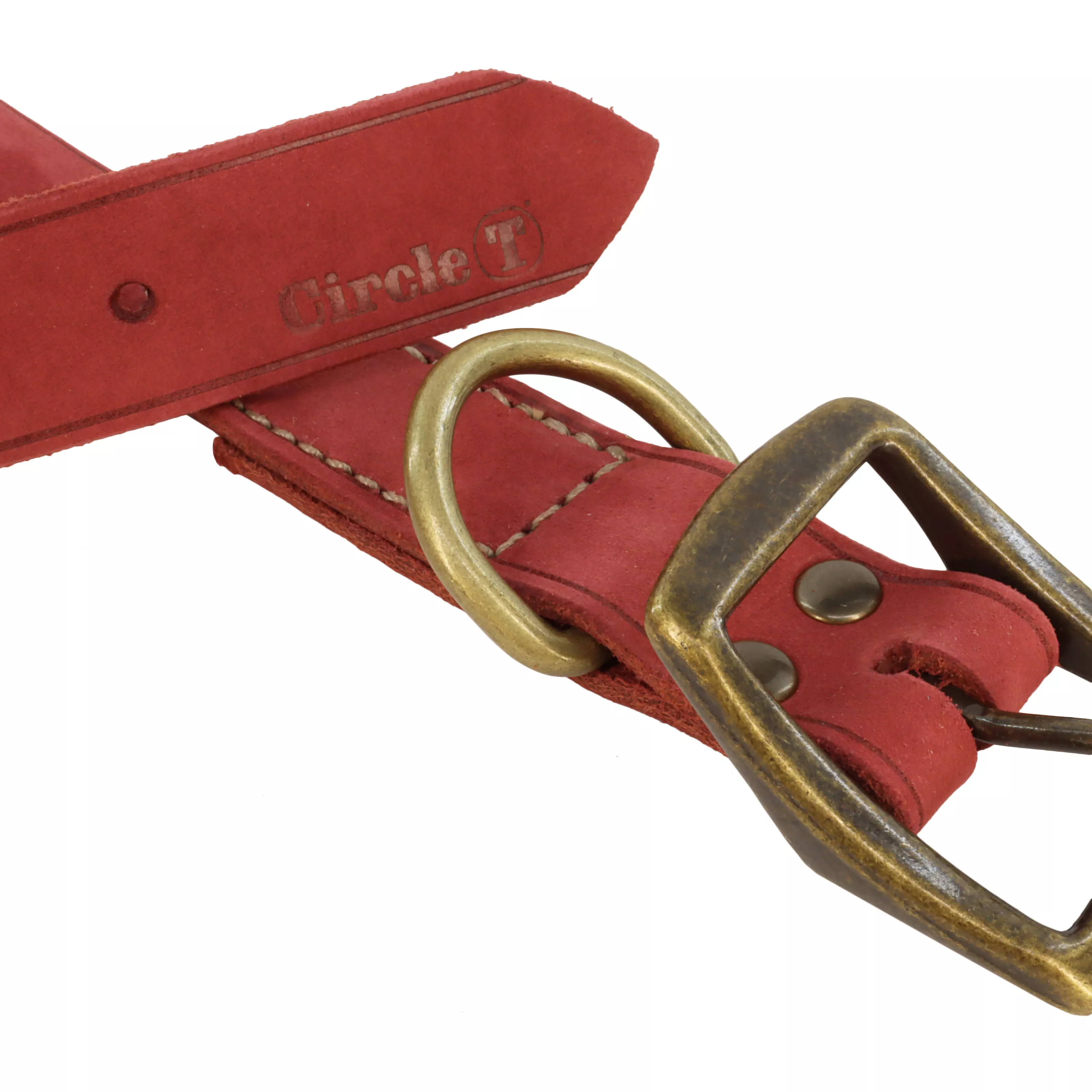 A close‑up product detail of the Circle T® Rustic Leather Town Dog Collar in Brick Red focuses on the buckle area. The collar’s brick‑red leather shows subtle texture and matte finish. The brass‑colored buckle and large matching D‑ring attach to the reinforced stitched panel. The edges of the leather are burnished and smooth.