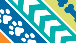 Styles Adjustable Grooming Loop with Bolt Snap