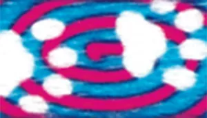 Li'l Pals Adjustable Patterned Dog Collar